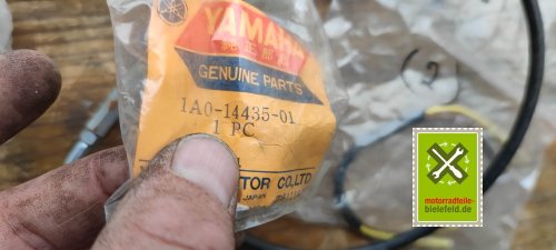 IMG_20230828_115920